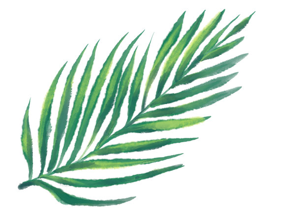 热带红绿植物元素秋季水彩手绘插画艺术图片下载