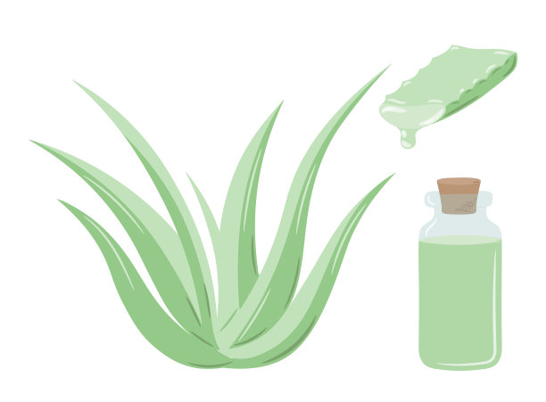 芦荟成分与瓶子图片下载