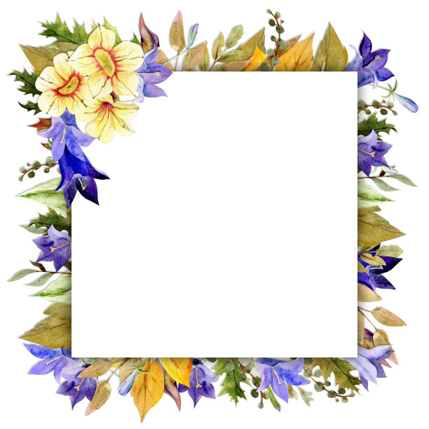水彩框架安排与手绘秋牵牛花和蓝铃花，树枝和树叶。孤立在白色背景。设计邀请函，婚礼，贺卡，墙纸，印刷图片下载