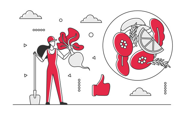 种植和生产有机食品图片下载