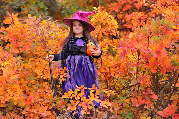 万圣节女巫在秋天的灌木丛的全貌图片下载