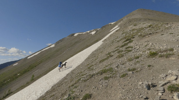 女子越野跑者攀登雪山山脊图片下载