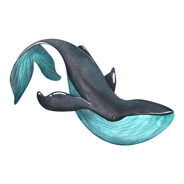 一条蓝黑相间的大鲸鱼。水彩插图。从一大群鲸鱼中分离出来的一个物体。用于装饰和设计，组成海洋，海滩版画。商标，明信片，海报，贴纸图片下载