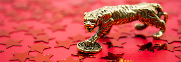 旗帜与青铜形象的老虎与一枚硬币-象征财务安康和财富的红色背景与星星，复制空间图片下载