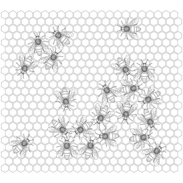 矢量几何蜂房上的蜜蜂图片下载
