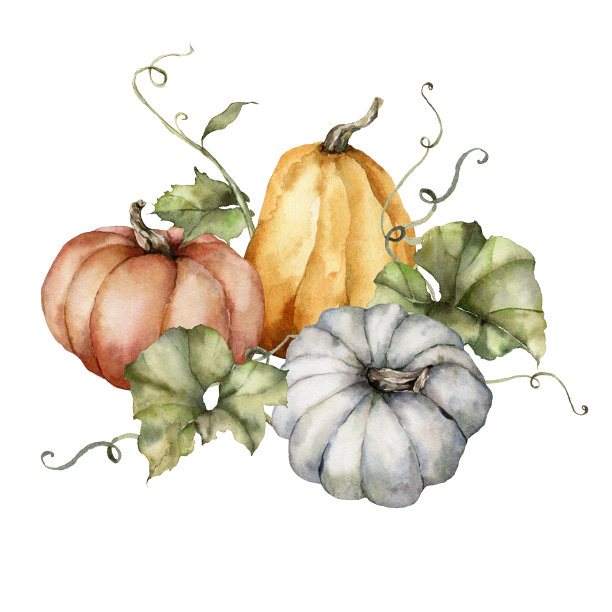 南瓜和树叶组成的水彩秋天。手绘蓝色，红色和橙色葫芦孤立在白色的背景。植物插图设计，印刷，背景。图片下载