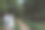 在夏天的森林里拍摄婚礼照片的老夫妇的后视图。图片下载