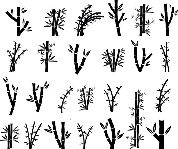 竹轮廓溢价图片下载