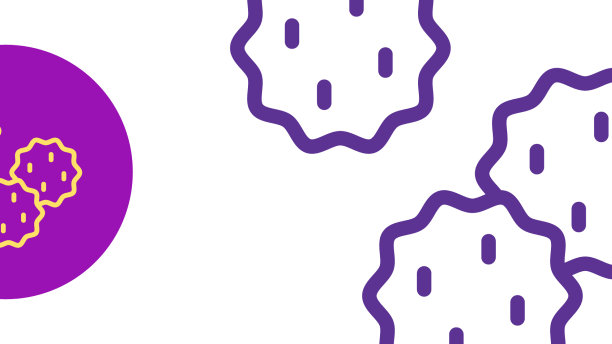 设定线饼干或饼干与巧克力图标图片下载