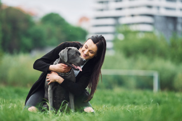 保健概念。年轻的黑发女郎正在户外遛狗图片下载