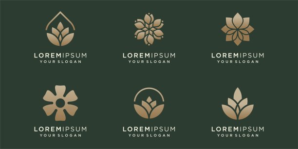 花卉装饰标志和图标集。设计模板向量。图片下载