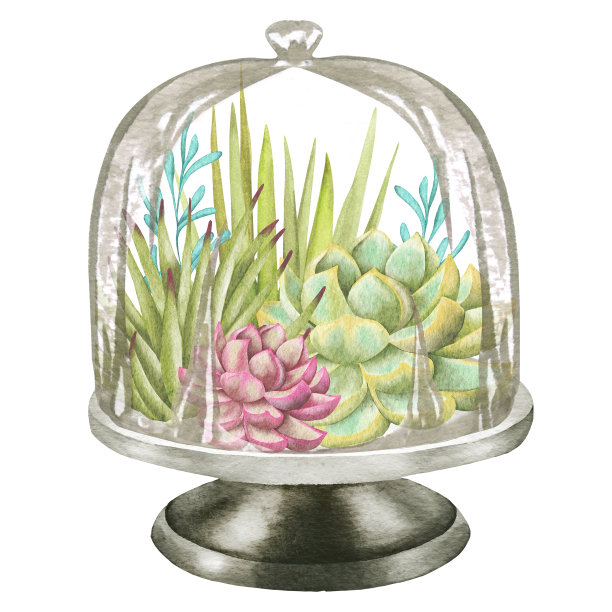 水彩多肉植物，绿色花束，室内植物插图，植物学绘画。图片下载