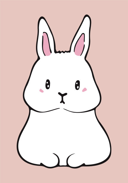 可爱的小白兔在粉红色的背景图片下载