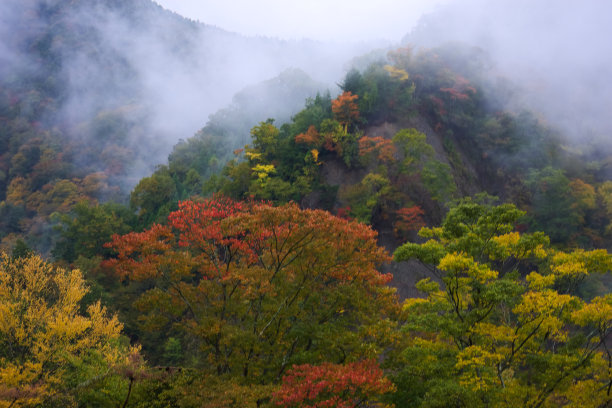 这也是大分的热门旅游景点。图片下载