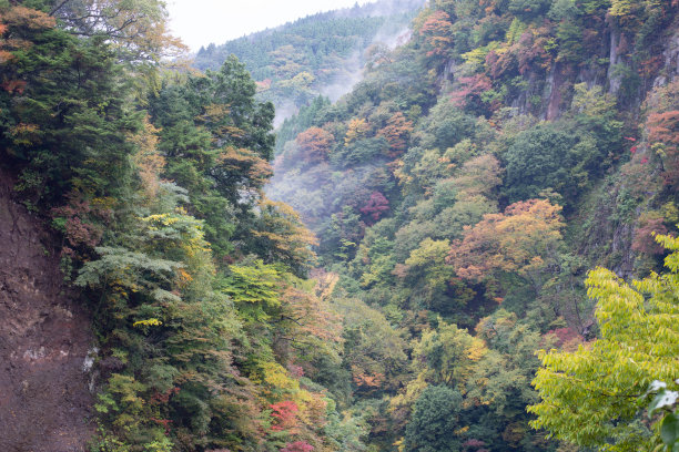这也是大分的热门旅游景点。图片下载