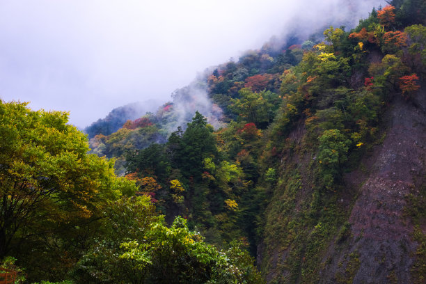 这也是大分的热门旅游景点。图片下载