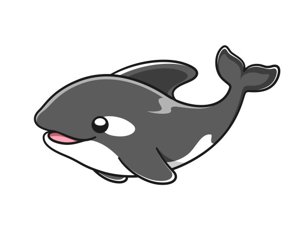 可爱的逆戟鲸矢量插图。虎鲸卡通剪贴画。图片下载