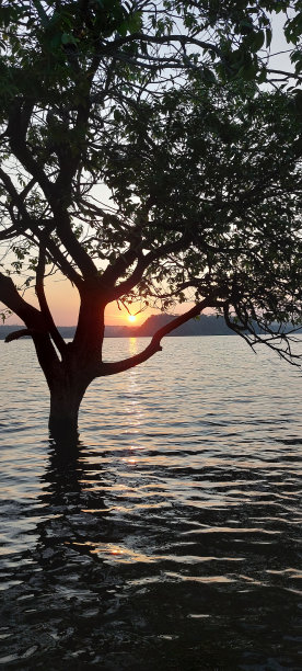 自然之美图片下载