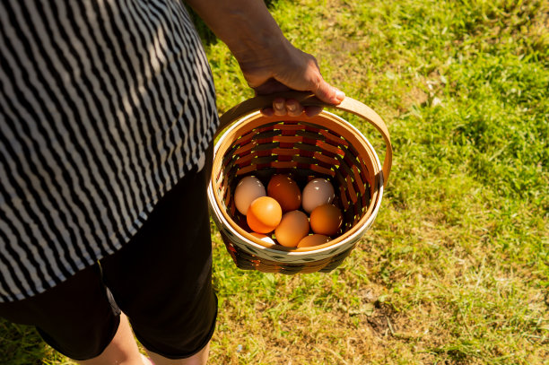 上了年纪的无脸妇女拿着篮子里的鸡蛋图片下载