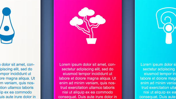 设置烧酒瓶盆景树和韩式手扇图片下载