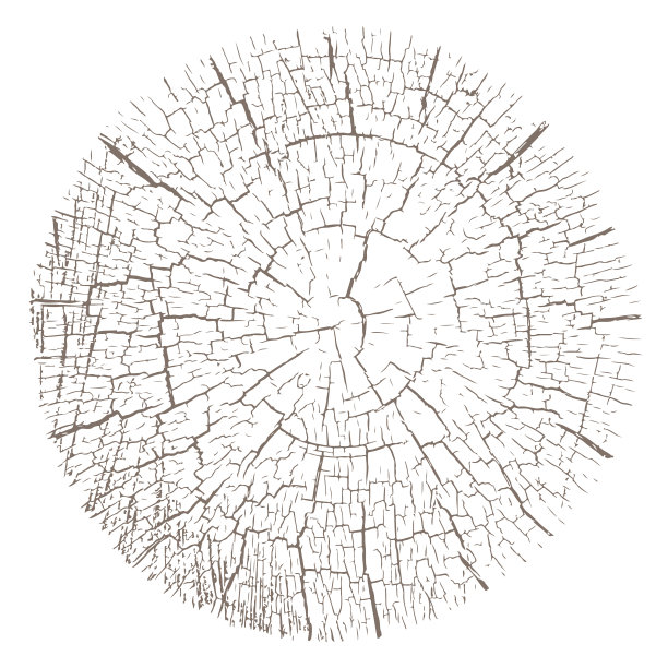 旧原木开裂末端的纹理图片下载