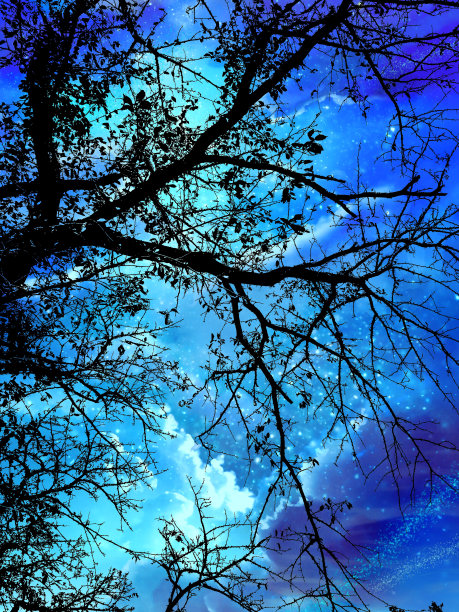 云海飘浮的夜空，神秘的月亮穿过一根老树枝的剪影。神秘的插图图片下载