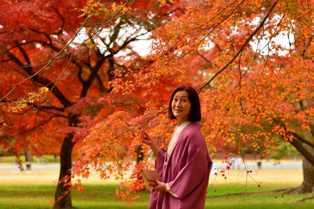 穿着和服的日本女子欣赏京都秋叶的颜色图片下载