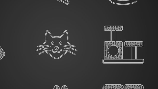 猫的手与动物的足迹狗药丸图片下载