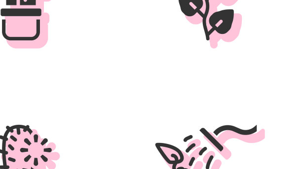 设置喷洒植物仙人掌、佩奥特花盆和常春藤图片下载