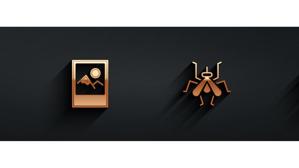 集酱瓶相框蚊子和太阳图片下载