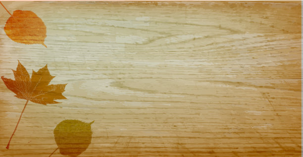 木材纹理和树叶矢量背景。有文字空间。图片下载
