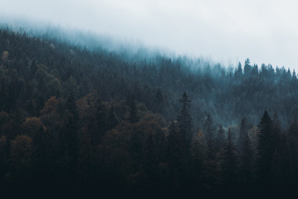 秋日清晨，雾蒙蒙的山林图片下载