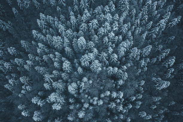 下雪的景色图片下载