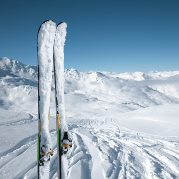 在新雪中滑雪图片下载