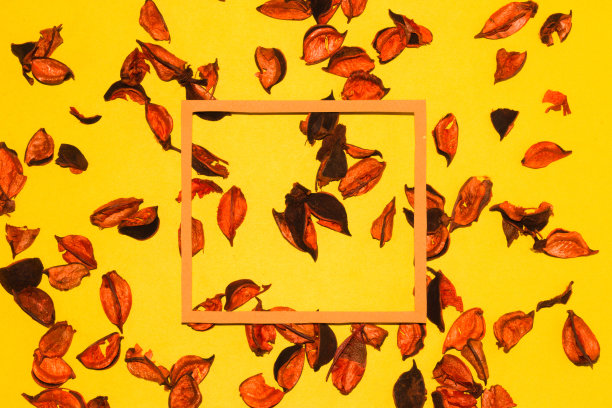 框架上的黄色背景装饰百花，创意秋季现代设计图片下载