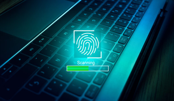 生物认证的概念。图片下载