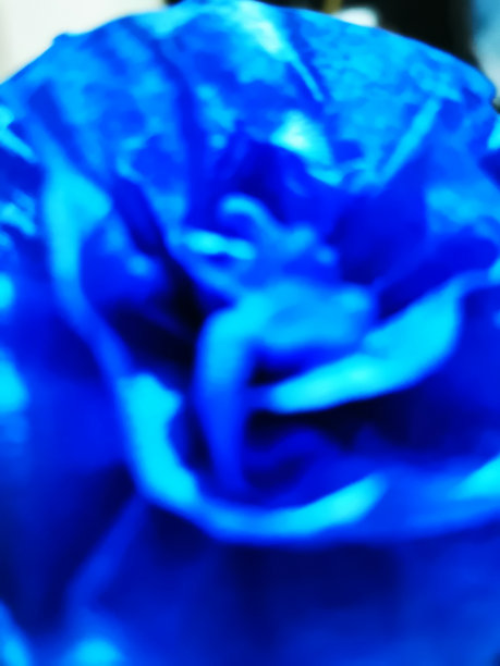 纸做的玫瑰枝的模糊图像。图片下载