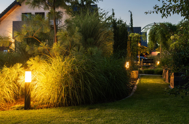 优雅的照明后院花园图片下载