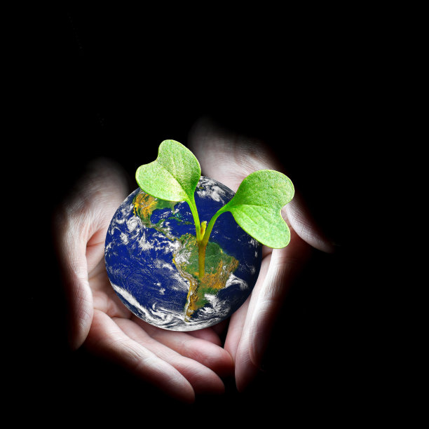 人类的手握着地球图片下载