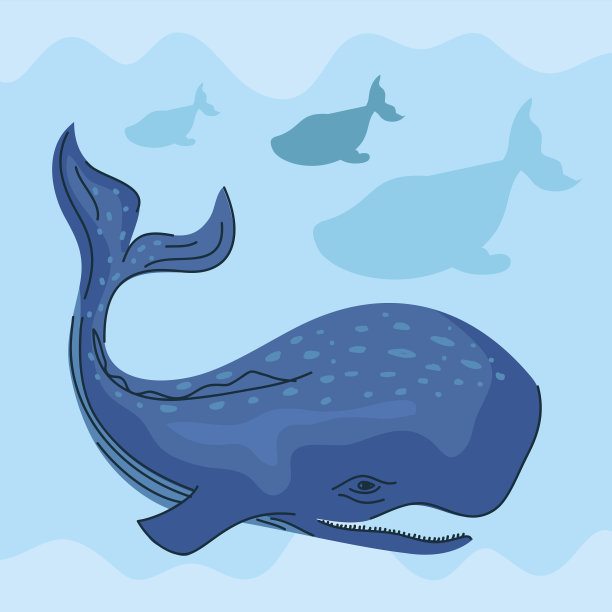 鲸鱼游泳海底图片下载
