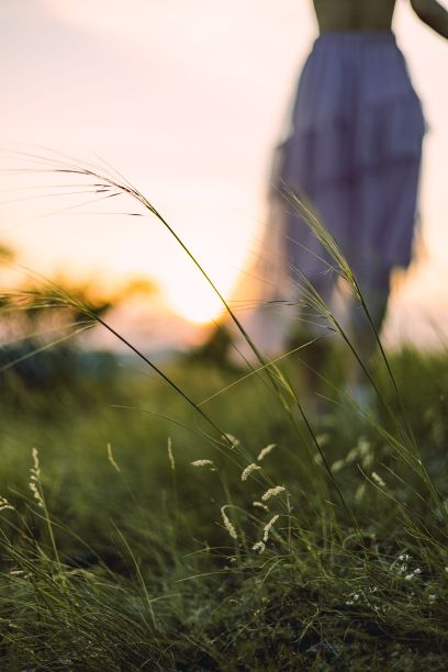 选择性的绿草模糊的背景上的一个女孩图片下载