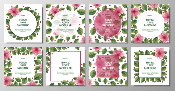 粉色木槿的方形背景图片下载