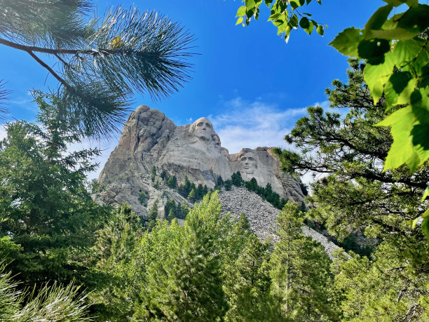 拉什莫尔山总统的树叶框定，南达科他州(美国)图片下载