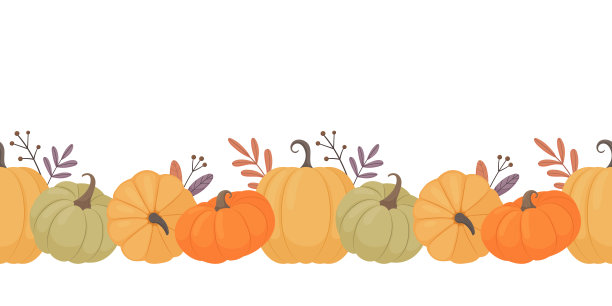 南瓜无缝的边界。图片下载