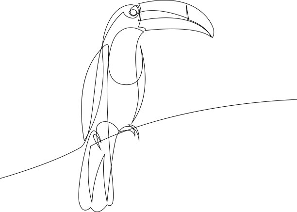 连续画了巨嘴鸟的一条线图片下载