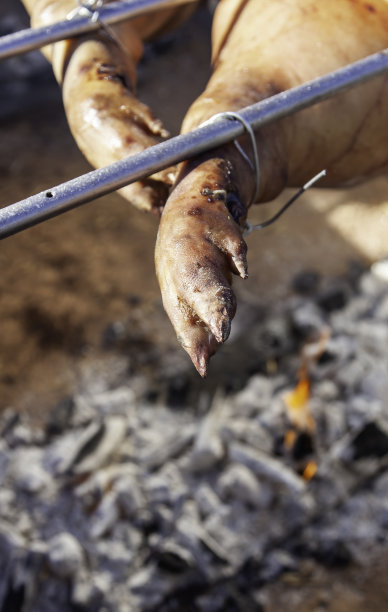 烤全猪图片下载