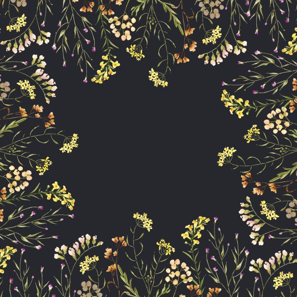 画框与精致的野花水彩插图，手绘在黑暗的背景。图片下载