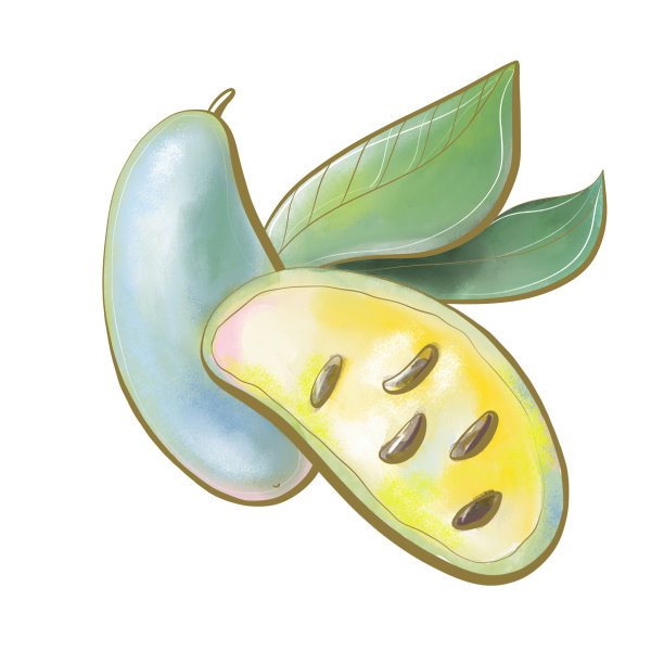 插图颜色黄色植物学植物可食用木瓜水果香蕉树绿色特写设计元素包装天然健康食品图片下载