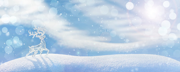 圣诞节冬季背景，旗帜-在冬季森林雪堆上的冰鹿的观点，在冬日的阳光下闪闪发光图片下载