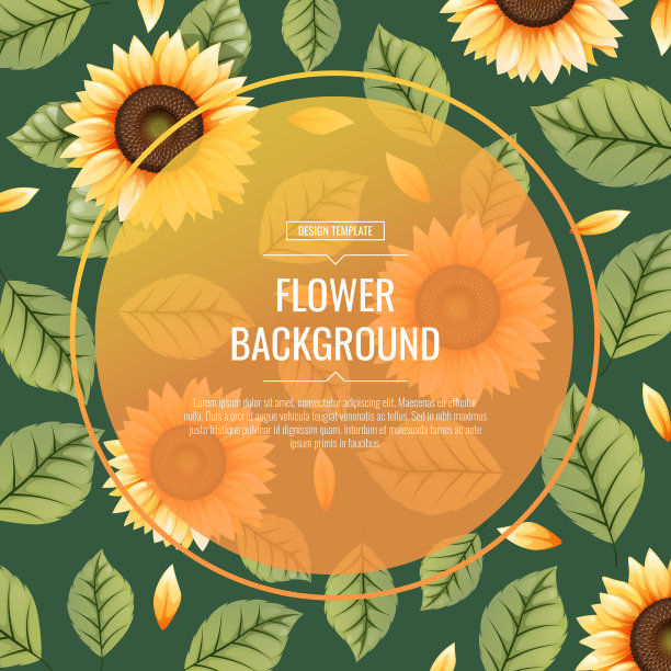方形背景与向日葵花卉框架图片下载